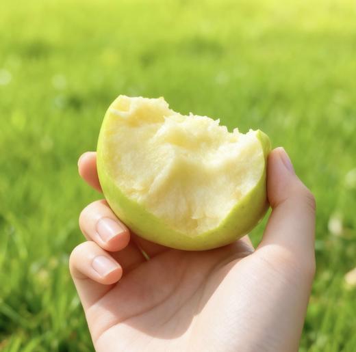 秋冈高原玫瑰 玫瑰花香 脆甜多汁   新疆瑞雪苹果 商品图4