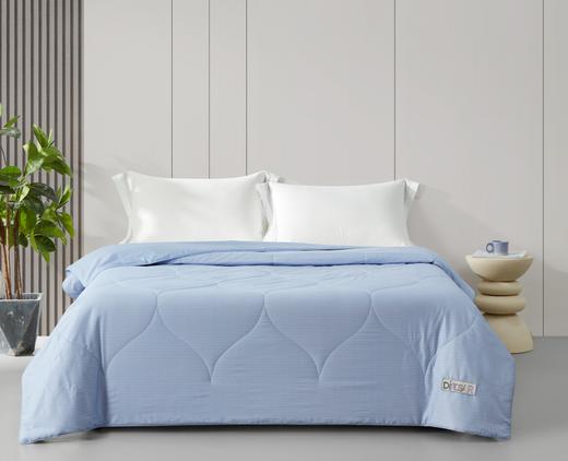 恐龙 棉朵朵棉花夏被 面料：40S全棉印花 填充：100%元绒棉 填充克重：0.26kg 商品图0