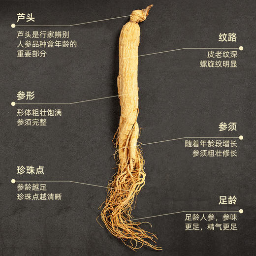 聚珍惠品长白山人参礼盒礼袋30g*2盒 商品图4