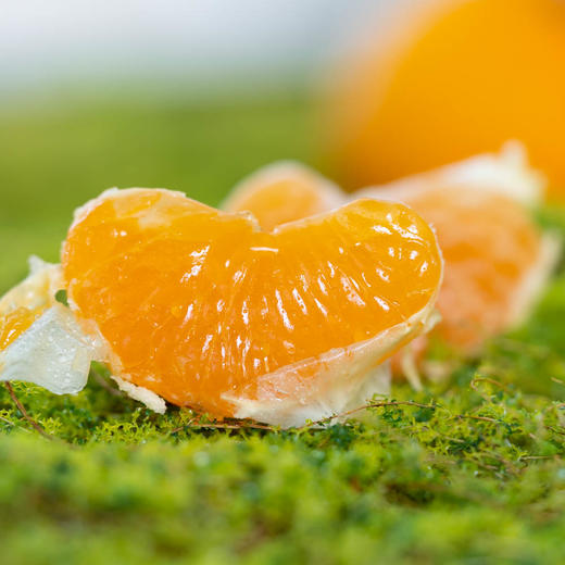 极客涌泉蜜桔｜带酸口，放置几天甜度会更好一些。酸甜可口，皮薄肉嫩，果肉细腻无核，汁多味浓，精选全天采光山阳面果实，入口爆浆，气候原因果面花皮多，瓣膜稍厚，介意慎拍。⭐️顺丰快递 商品图4