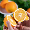 赣南脐橙｜汁水丰富，酸甜芳香，皮略厚，生态种植方式果面略有花斑，介意慎拍⭐️京东快递 商品缩略图8