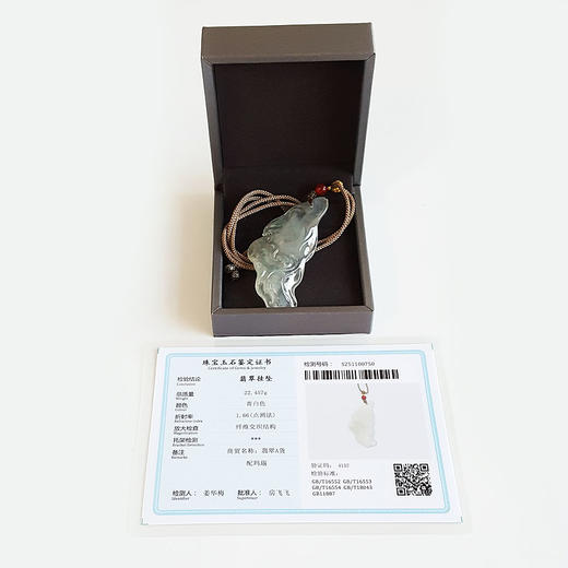 【天然正品】A货翡翠天然收藏级细腻冰种木那雪花棉祥云随型翡翠吊坠项链70.8*31.1*8.2MM（皆取最大值）女士020725AH18 商品图0