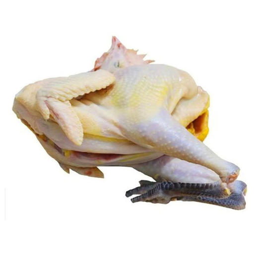 皖南土鸡黄油老母鸡2只  散养土鸡 肉质紧实 商品图0