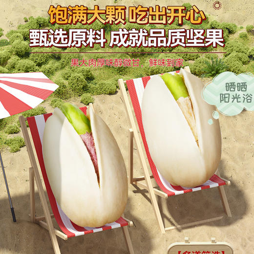 【长期集采】坚果进化论开心果A款425g 商品图3