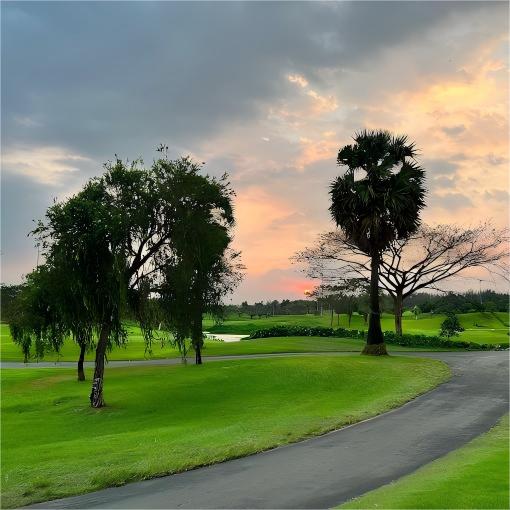 越南·双鸽高尔夫俱乐部 Twin Doves Golf Club | 胡志明高尔夫球场  | 越南高尔夫球场俱乐部  | 东南亚 商品图4