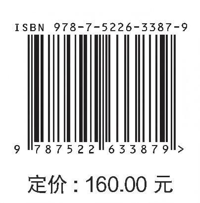 安全韧性现代水网 商品图1