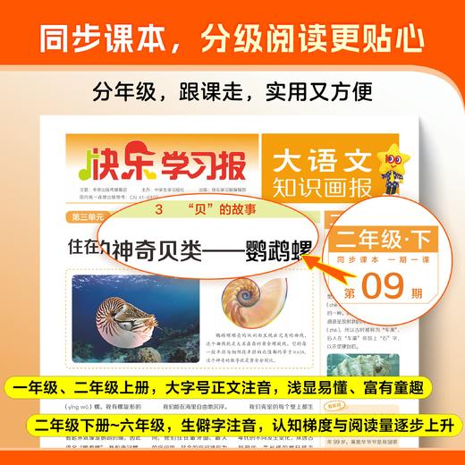 大语文知识画报【2026年春】整年刊52期/全年 商品图3