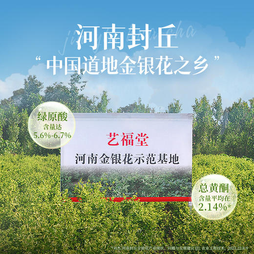 艺福堂金银花30g/罐(生态罐) 商品图3