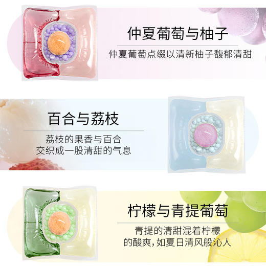 【绽家联名款】蓝桉叶精油香氛四腔洗衣凝珠 60颗/桶 六合一持久留香除菌除螨 商品图2