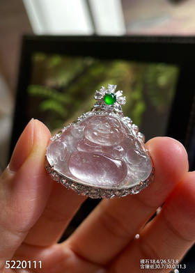 5220111，佛公吊坠。具体价格微信咨询