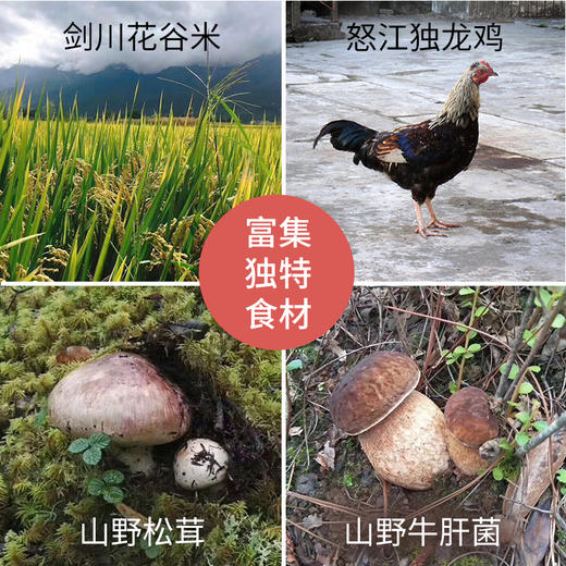 食味的初相松茸鸡汤米线 商品图3