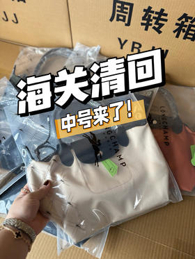原单海关龙骧中号可遇不可求‼️