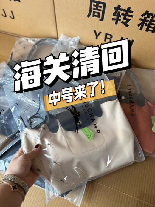 原单海关龙骧中号可遇不可求‼️ 商品图0