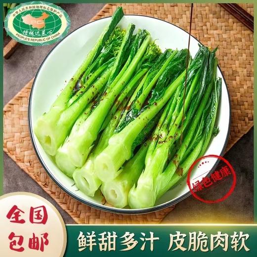 菜心甜了！本周日11月30日广州出发→增城采摘正宗迟菜心—同款 “心” 动！增城现摘迟菜心 农庄直供 新鲜直达 在家复刻田间鲜甜 商品图1