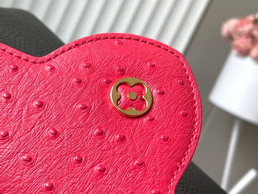 秋冬特惠💰1550 渠道级LV 新品 te级LV 全套包装 N82904/M48865黑拼红鸵鸟 本款 Capucines 手袋 商品图5