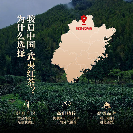 正山堂 骏眉中国武夷红茶礼盒装 正宗产区茶桃荔香小种红茶送礼长辈180g 商品图3