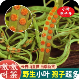 长白山肾精茶黄金草茶嗷嗷叫茶