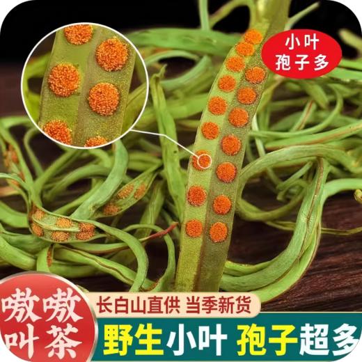 长白山肾精茶黄金草茶嗷嗷叫茶 商品图0