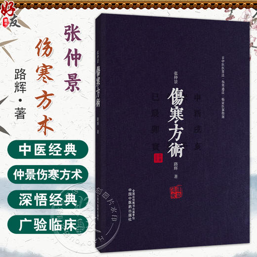 张仲景伤寒方术 路辉 著 仲景《伤寒杂病论》三阴三阳学术史 仲景伤寒日周期运气法 《伤寒论》的三百九十七法 中国中医药出版社 商品图0