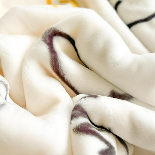 【广东省省被】双层加厚拉舍尔毛毯 柔软亲肤蓄热保暖 商品图6