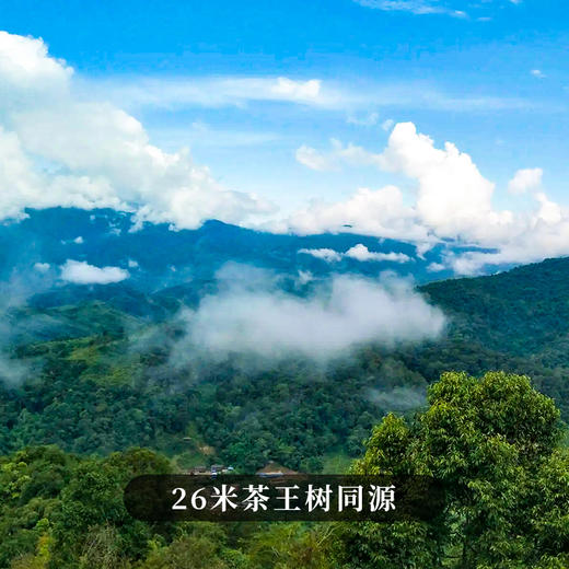 【仅余几提了！！】【重磅新品发售】高奢古票系列之【虎票】2.0版升级来袭，横跨7年百花潭的时间之味永久保价，全球仅有12提可售 商品图1