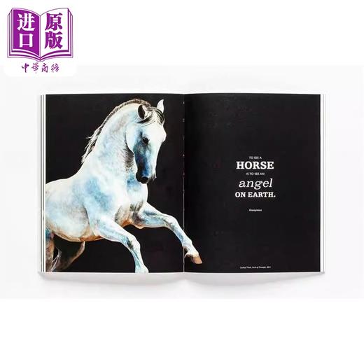 预售 【中商原版】The Book of the Horse 英文原版 马之书 知名艺术家绘画作品集 商品图2