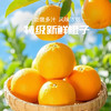 【赣南脐橙】脐橙之乡直供 无催熟不打蜡 绿色生态种植 5斤 商品缩略图3