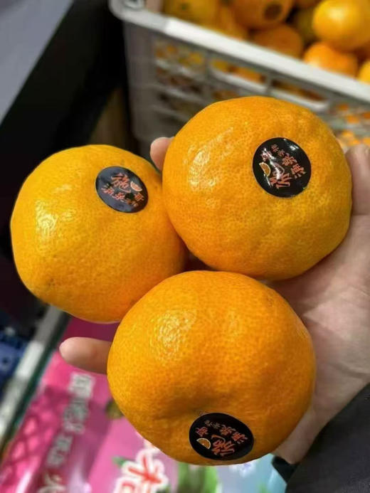 一口蜜涌泉蜜桔 甜润爽口
🔥🔥🔥不打蜡，不催熟，瓣瓣水嫩，放入舌尖轻轻一咬香甜的果汁在口中爆浆💦 商品图4