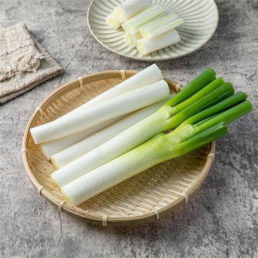 大葱 1根 商品图1