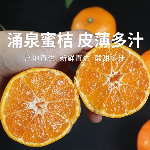【涌泉蜜橘】 甘润清香 皮薄多汁 新鲜现摘不齁甜 秋冬解腻神器 4.5-5斤（16-24个） 商品图0