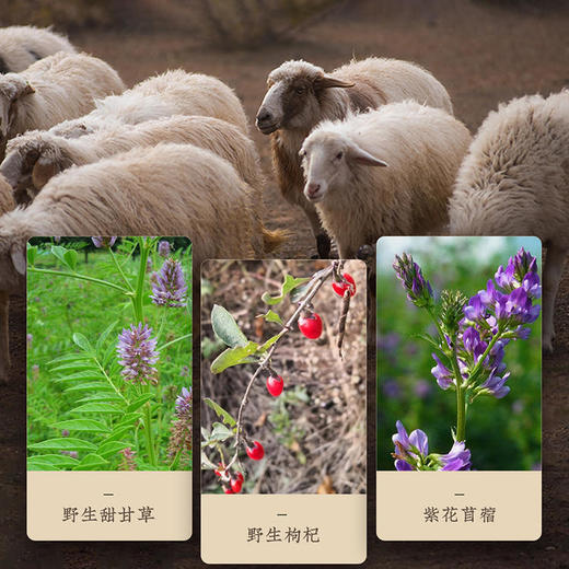 【当地供销社直发 现宰现发】河上田舍 盐池滩羊 口感丰富 肥瘦相间 鲜嫩不膻 不干不柴 爽滑多汁 商品图4