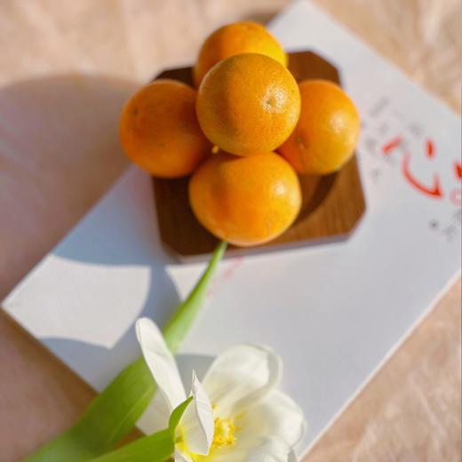 广西 融安 脆蜜金柑 商品图2