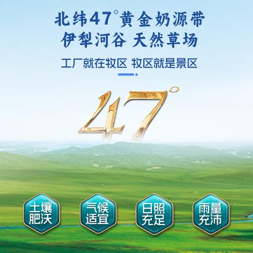 【明星同款・新疆有机驼奶粉】1杯顶10杯的‘沙漠软黄金’！66年新疆兵团老厂 高原散养双峰驼 100%有机生驼乳 护肠道、强免疫 喝出好体质！（单罐低至199.5元） 商品图3