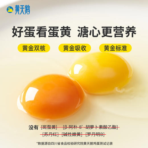 黄天鹅可生食鸡蛋 30枚L大号蛋 商品图1