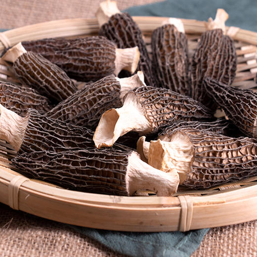 【房州味道】羊肚菌100g 商品图4