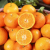 【涌泉蜜橘】 甘润清香 皮薄多汁 新鲜现摘不齁甜 秋冬解腻神器 4.5-5斤（16-24个） 商品缩略图3