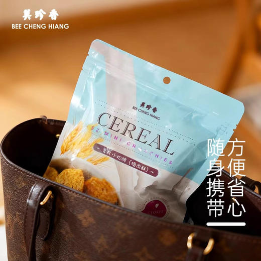 美珍香麦片小松脆（猪肉酥）45g营养休闲零食小吃新加坡风味特产 商品图3