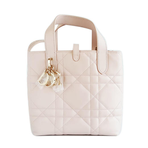 【闲置未使用】Dior迪奥Toujours小号粉色竖版土著Toujours手提单肩包女士211125AK18 商品图0