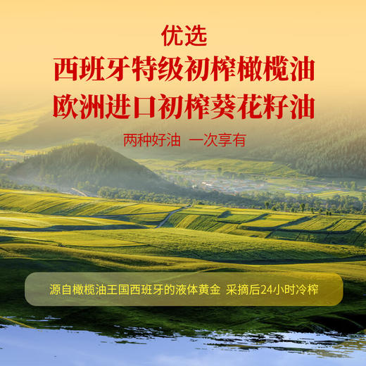 贝蒂斯双尖橄榄+葵花油4L 商品图3