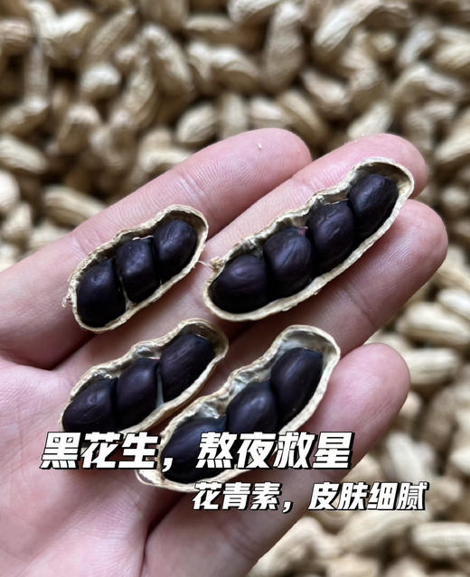 黑花生🥜软糯甘甜，熬夜救星🌟
发现一个宝藏食品！云南普洱的老品种小颗粒黑花生，自然晒干后的口感简直让人惊喜！软糯甘甜，每一口都能感受到满满的幸福感 商品图0