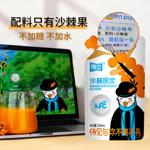 ² 一袋一斤多16元【配料只有小果沙棘】528ml袋不提籽不提油 HM02-CRMM-SXSJ 商品图1