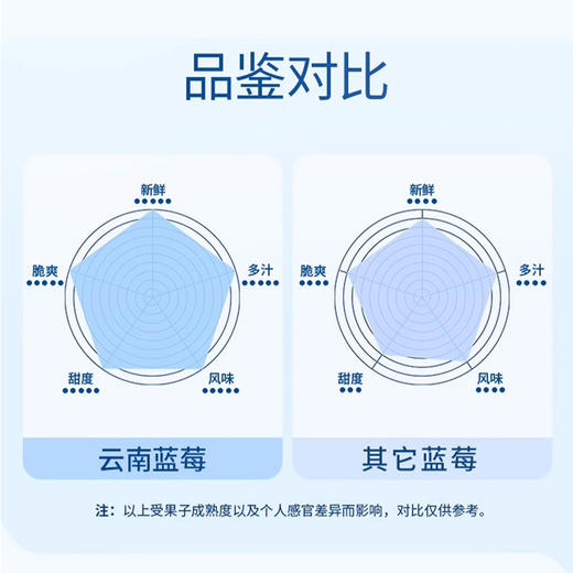 【云南L25蓝莓】无打蜡不催熟 绿色种植 孕妇儿童放心吃 400g 商品图3