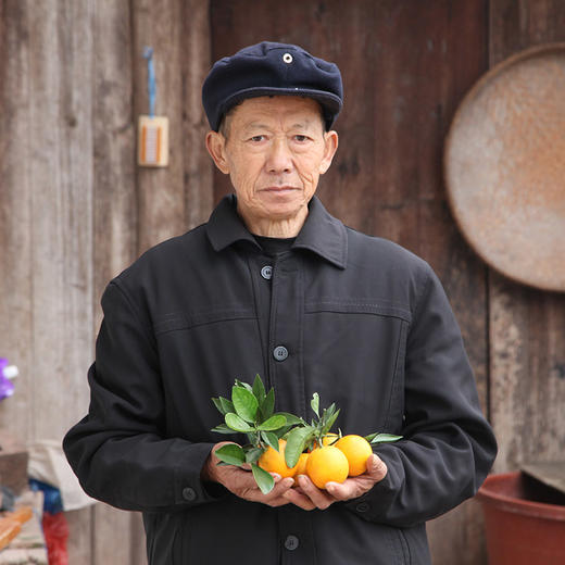 助力湖南麻阳冰糖橙，汁多肉脆，甜润爽口，个头小却甜，像冰糖一样的甜橙 商品图2