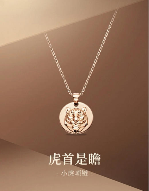 SAGA世家新款配饰项链吊坠女士时尚潮流礼物气质高级感小众吊坠 商品图0