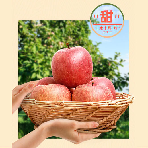 贵州威宁高原丑苹果/箱【GY】 商品图1