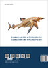 海洋猎手：鲨鱼的一生 商品缩略图1