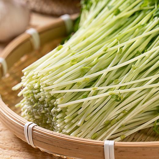 豌豆苗 250g 商品图2