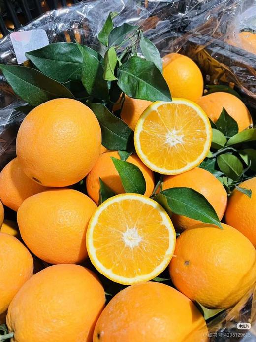 维C蜜橙赣南橙子5斤礼盒 商品图2