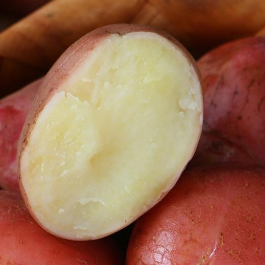 静乐有机红皮土豆【新挖出来的土豆】 商品图4