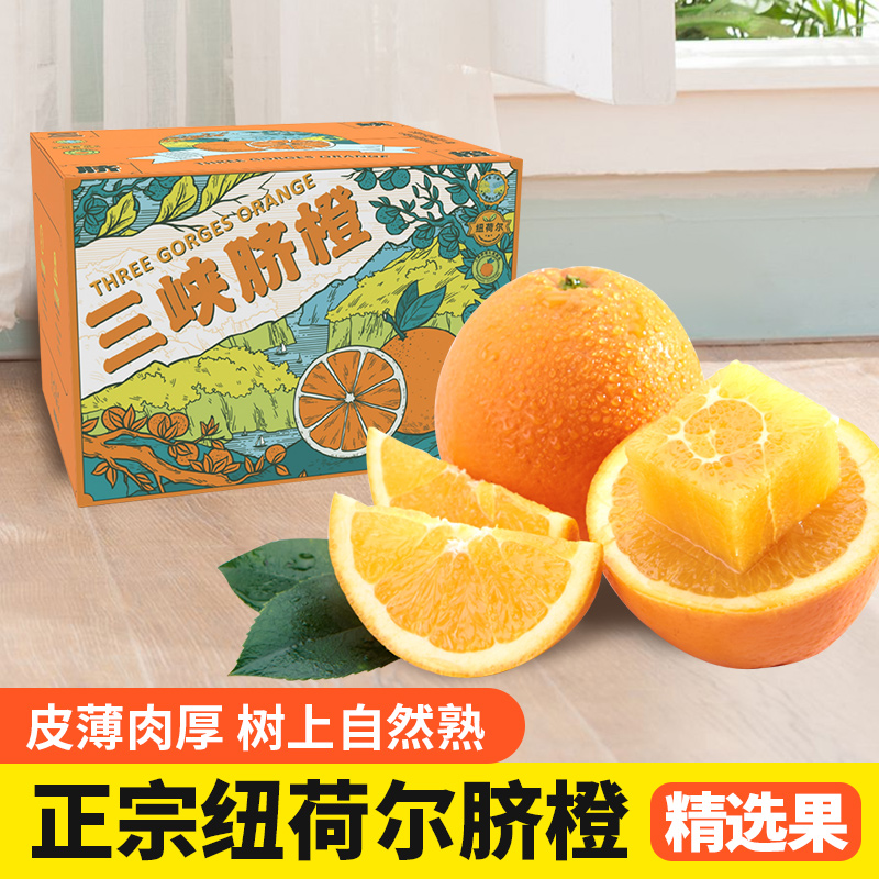 【秭归脐橙-纽荷尔】誉福园 纽荷尔5斤/9斤 中大果彩箱 新鲜水果橙子 现摘现发